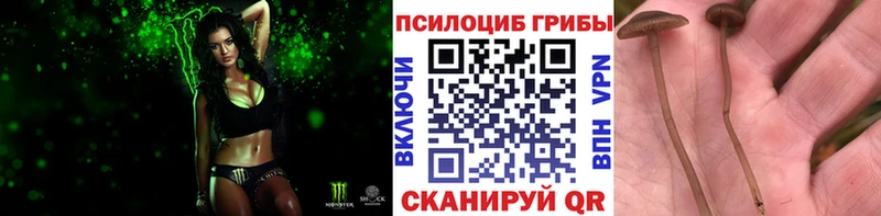 даркнет как зайти  кракен ссылки  Ишимбай  Галлюциногенные грибы мухоморы 